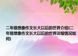 二年级想象作文长大以后的世界介绍(二年级想象作文长大以后的世界详细情况如何)