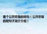 是个公开恋情的短句（公开恋情的短句子简介介绍）
