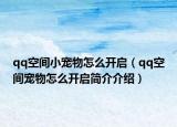 qq空间小宠物怎么开启（qq空间宠物怎么开启简介介绍）
