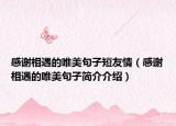 感谢相遇的唯美句子短友情（感谢相遇的唯美句子简介介绍）