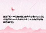 王者荣耀中一共有哪些功击力和暴击的装备介绍(王者荣耀中一共有哪些功击力和暴击的装备详细情况如何)