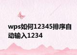 wps如何12345排序自动输入1234