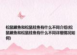 松鼠鳜鱼和松鼠桂鱼有什么不同介绍(松鼠鳜鱼和松鼠桂鱼有什么不同详细情况如何)