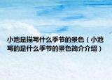 小池是描写什么季节的景色（小池写的是什么季节的景色简介介绍）