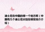 迪士尼在中国的哪一个地方呢（中国有几个迪士尼分别在哪里简介介绍）