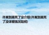 许嵩到底死了没介绍(许嵩到底死了没详细情况如何)