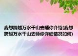 我想跨越万水千山去睡你介绍(我想跨越万水千山去睡你详细情况如何)