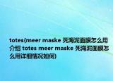 totes(meer maske 死海泥面膜怎么用介绍 totes meer maske 死海泥面膜怎么用详细情况如何)