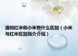 请问红米和小米有什么区别（小米与红米区别简介介绍）