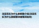 深蓝乐队为什么要解散介绍(深蓝乐队为什么要解散详细情况如何)