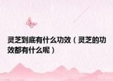 灵芝到底有什么功效（灵芝的功效都有什么呢）