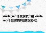 kinda(sad什么意思介绍 kinda sad什么意思详细情况如何)