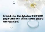 It(Gets Better-Chris Salvatore 歌词中文意思介绍 It Gets Better-Chris Salvatore 歌词中文意思详细情况如何)