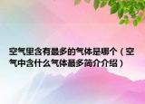 空气里含有最多的气体是哪个（空气中含什么气体最多简介介绍）