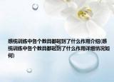 感统训练中各个教具都起到了什么作用介绍(感统训练中各个教具都起到了什么作用详细情况如何)