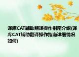 译库CAT辅助翻译操作指南介绍(译库CAT辅助翻译操作指南详细情况如何)