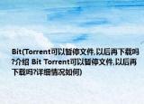 Bit(Torrent可以暂停文件,以后再下载吗?介绍 Bit Torrent可以暂停文件,以后再下载吗?详细情况如何)