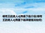 哪有王的男人dj舞曲下载介绍(哪有王的男人dj舞曲下载详细情况如何)
