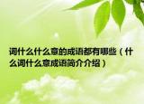 词什么什么意的成语都有哪些（什么词什么意成语简介介绍）