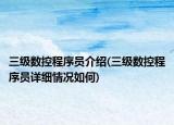 三级数控程序员介绍(三级数控程序员详细情况如何)