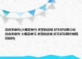 洛奇英雄传(大概是神马 类型的游戏 好不好玩啊介绍 洛奇英雄传 大概是神马 类型的游戏 好不好玩啊详细情况如何)