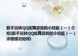 新手玩转QQ炫舞游戏的小技能（一）介绍(新手玩转QQ炫舞游戏的小技能（一）详细情况如何)