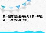 林一跟林更新有关系吗（林一林更新什么关系简介介绍）