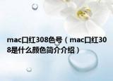 mac口红308色号（mac口红308是什么颜色简介介绍）