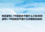 哈利波特1-7对应的名字是什么介绍(哈利波特1-7对应的名字是什么详细情况如何)