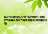 有志气的网名有志气好听的网名介绍(有志气的网名有志气好听的网名详细情况如何)