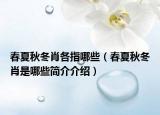 春夏秋冬肖各指哪些（春夏秋冬肖是哪些简介介绍）