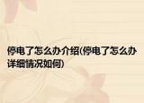 停电了怎么办介绍(停电了怎么办详细情况如何)