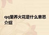 qq里养火花是什么意思介绍