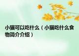 小猫可以吃什么（小猫吃什么食物简介介绍）