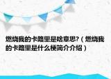 燃烧我的卡路里是啥意思?（燃烧我的卡路里是什么梗简介介绍）