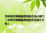 怎样消灭蟑螂最有效的方法小窍门（怎样灭蟑螂最有效的方法简介介绍）