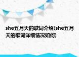 she五月天的歌词介绍(she五月天的歌词详细情况如何)