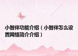小智伴功能介绍（小智伴怎么设置网络简介介绍）