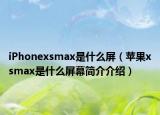 iPhonexsmax是什么屏（苹果xsmax是什么屏幕简介介绍）
