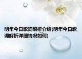 明年今日歌词解析介绍(明年今日歌词解析详细情况如何)