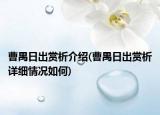 曹禺日出赏析介绍(曹禺日出赏析详细情况如何)