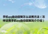手机qq自动回复怎么设置方法（怎样设置手机qq自动回复简介介绍）