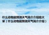 什么动物能预测天气简介介绍给大家（什么动物能预测天气简介介绍）