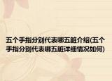 五个手指分别代表哪五脏介绍(五个手指分别代表哪五脏详细情况如何)