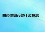 白带洁癖iv是什么意思