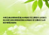 中国玉佛宫博物馆里重260吨的巨型玉雕是什么样的介绍(中国玉佛宫博物馆里重260吨的巨型玉雕是什么样的详细情况如何)