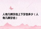 人有几颗牙齿上下牙各多少（人有几颗牙齿）