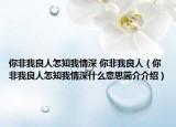 你非我良人怎知我情深 你非我良人（你非我良人怎知我情深什么意思简介介绍）