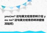 you(no? 这句英文啥意思啊介绍 you no? 这句英文啥意思啊详细情况如何)