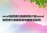 excel如何进行高级筛选介绍(excel如何进行高级筛选详细情况如何)